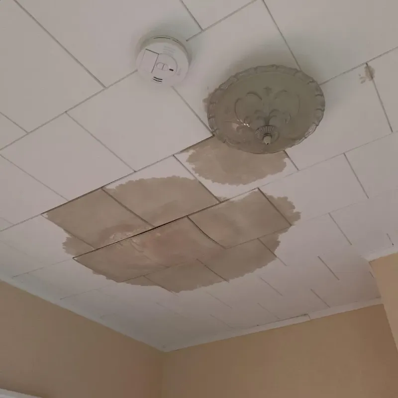 Ceiling Water Damage Repair in Morgan County, IN