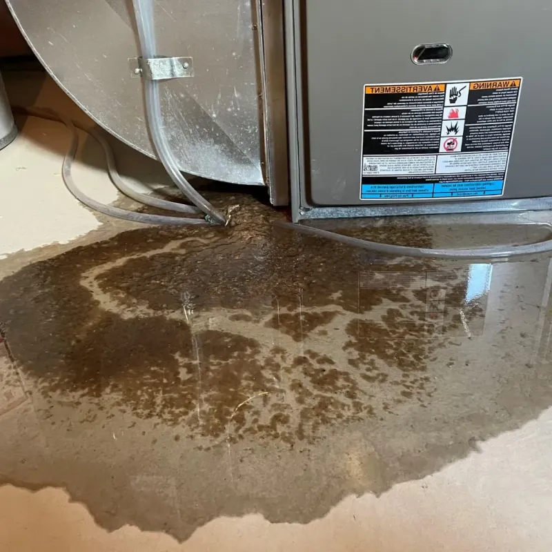 Pipe Burst and Leak Restoration in Morgan County, IN