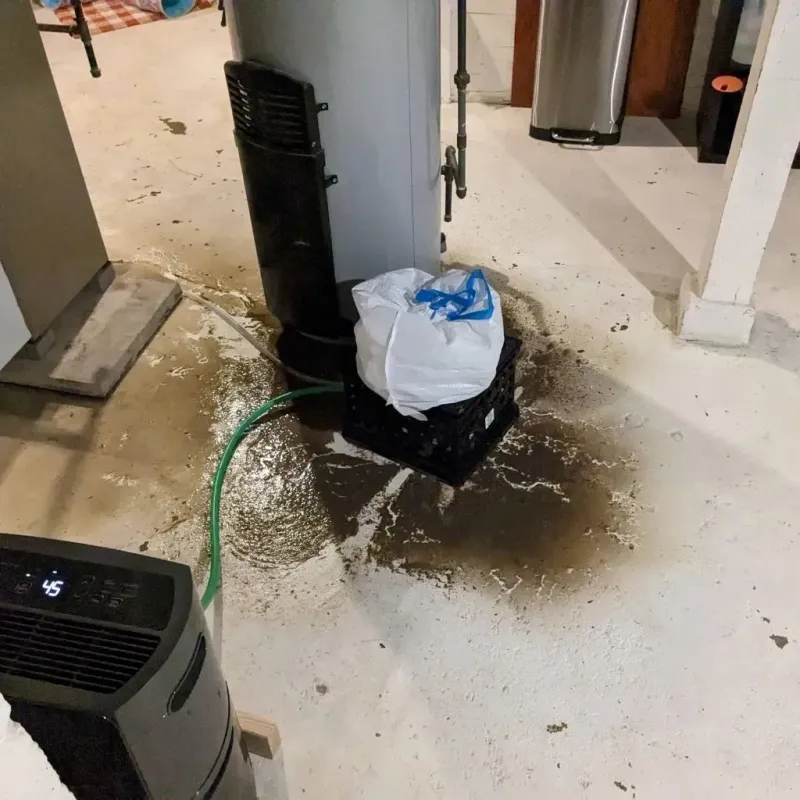 Sewage Backup Cleanup Service in Morgan County, IN